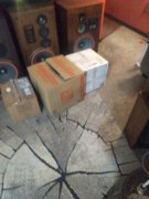Resized_20230409_065439.jpeg