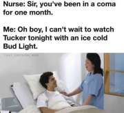 1682710431856.png