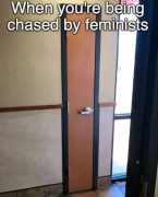 1684535696971.png