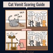 catvomitscoringguide.jpg