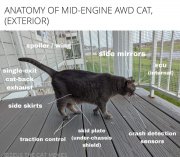 midengineawdcat.jpg