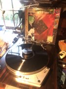 IMG_9263.jpeg