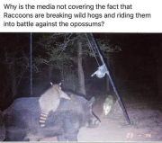 1699360143808.png