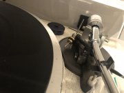 IMG_5575.jpeg
