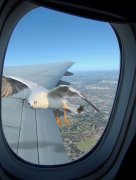 plane window 03.jpg