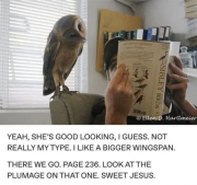 1706302197006.png