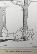 1710201708205.jpeg