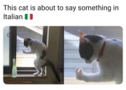 1710862683998.png