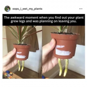 1710862757138.png
