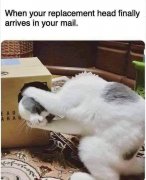 432862836_10233638640531636_7562882987468398719_n.jpg