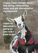 1711651718349.png