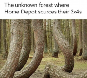 IMG_20240413_214121.png