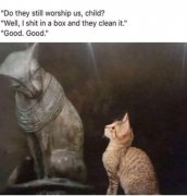 cats.jpg