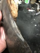 IMG_0637.jpeg