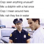 1716583995376.png