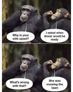 1716585282929.png