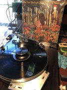 IMG_0784.jpeg