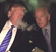 trumpbidenweed.jpg