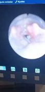Screenshot_20241012-171213_Video Player.jpg