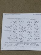 IMG_3655.jpeg