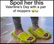 moppers.JPG