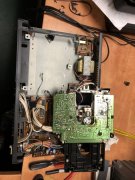 IMG_2310.jpeg