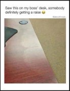 raise.JPG