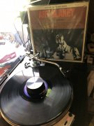 IMG_2951.jpeg