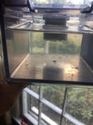 IMG_3011.jpeg