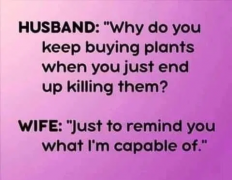 1757108650288.png