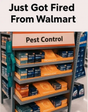 1757108849909.png