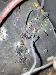 IMG_0715.jpeg
