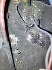 IMG_0713.jpeg