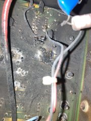 IMG_0712.jpeg