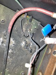 IMG_0707.jpeg
