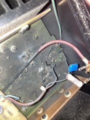 IMG_0703.jpeg
