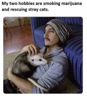 1757895832208.png