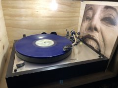 IMG_6107.jpeg IMG_6107.jpeg