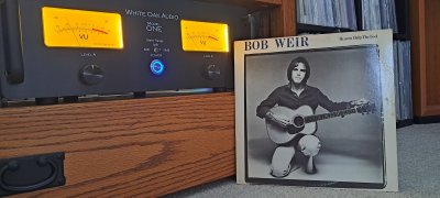 Bob Weir Heaven Help The Fool.jpg