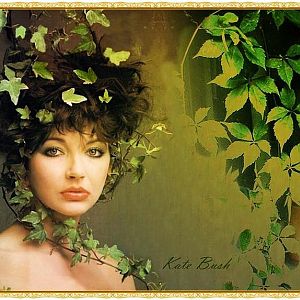 Kate Bush